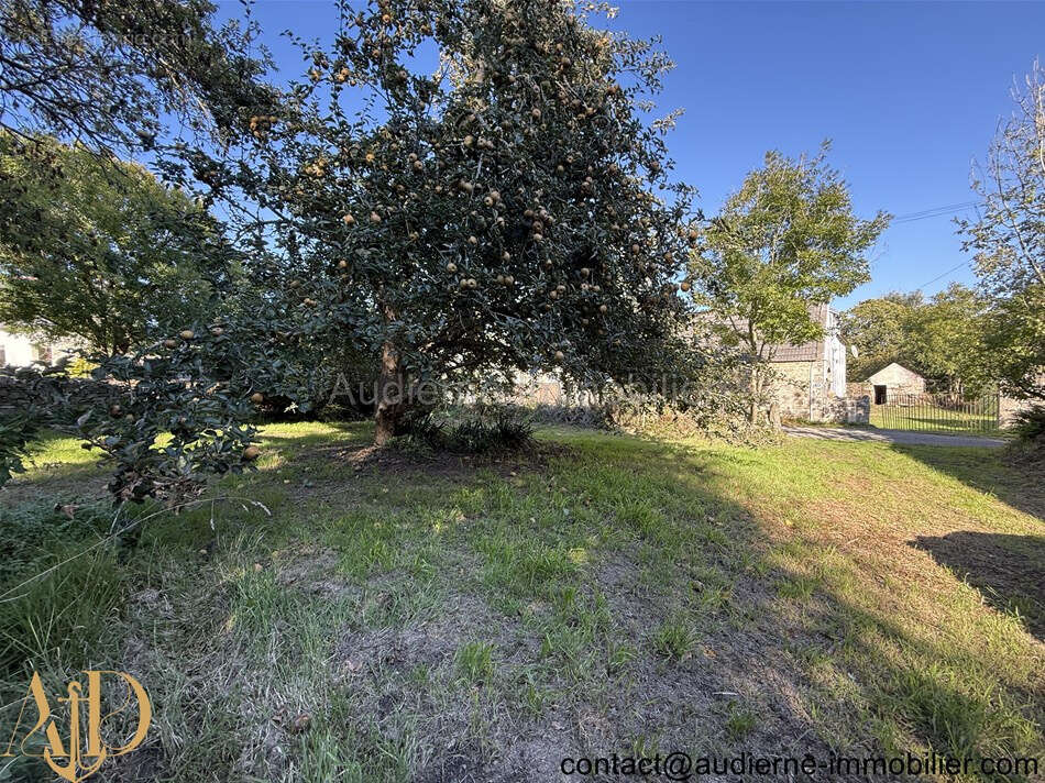 Maison à CLEDEN-CAP-SIZUN
