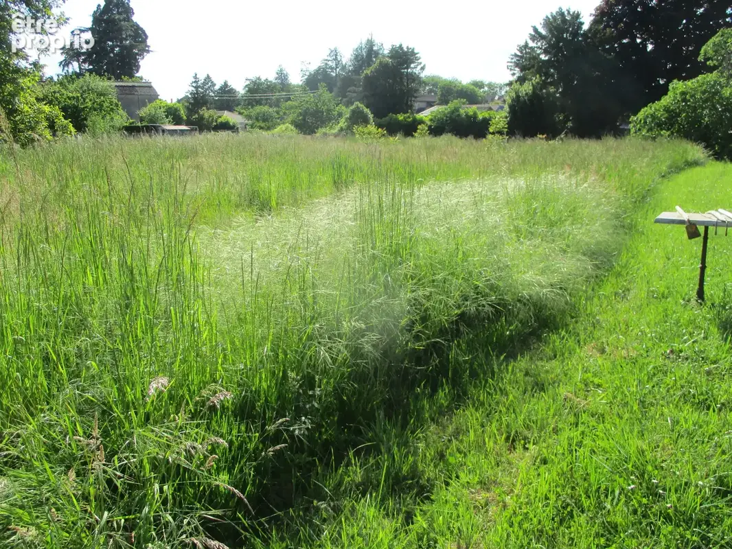 Couhé Plain-pied et entrepôt de 350 m2 environ. - photo 15