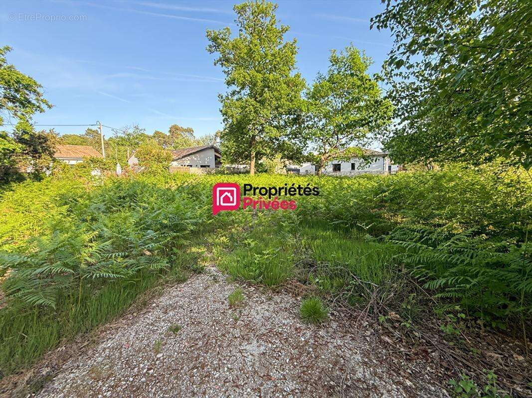 Hourtin port - terrain viabilise  - 989m2 - photo 6