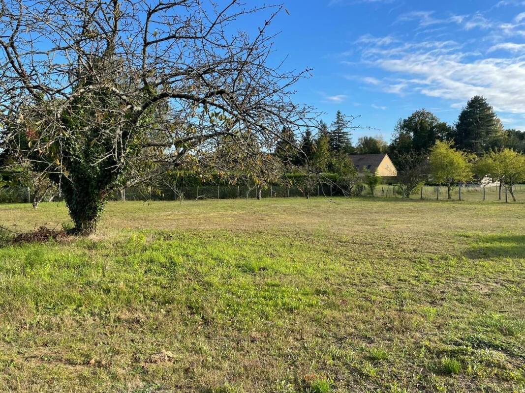 Terrain à CONNERRE