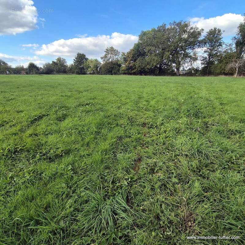 Maison à SAVIGNE-L&#039;EVEQUE