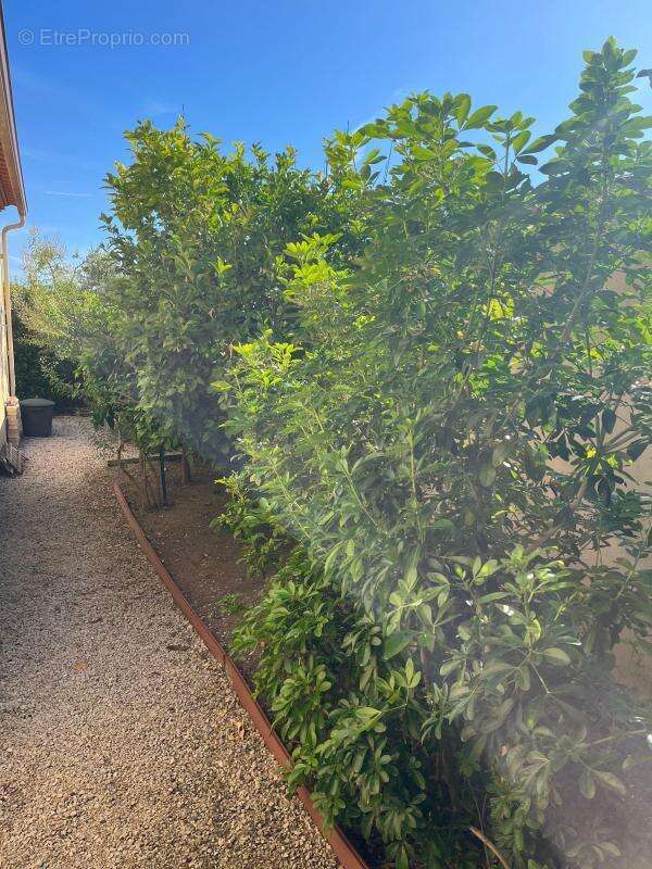 Maison à MEZE