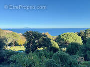Terrain à SAN-MARTINO-DI-LOTA