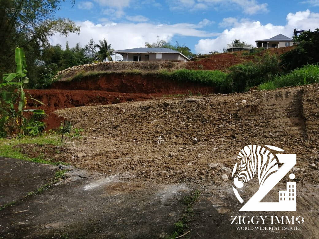 Terrain à PETIT-BOURG