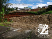 Terrain à PETIT-BOURG