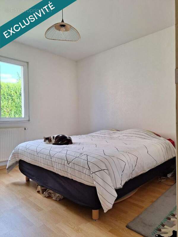 Photo 4 - Maison à MORHANGE