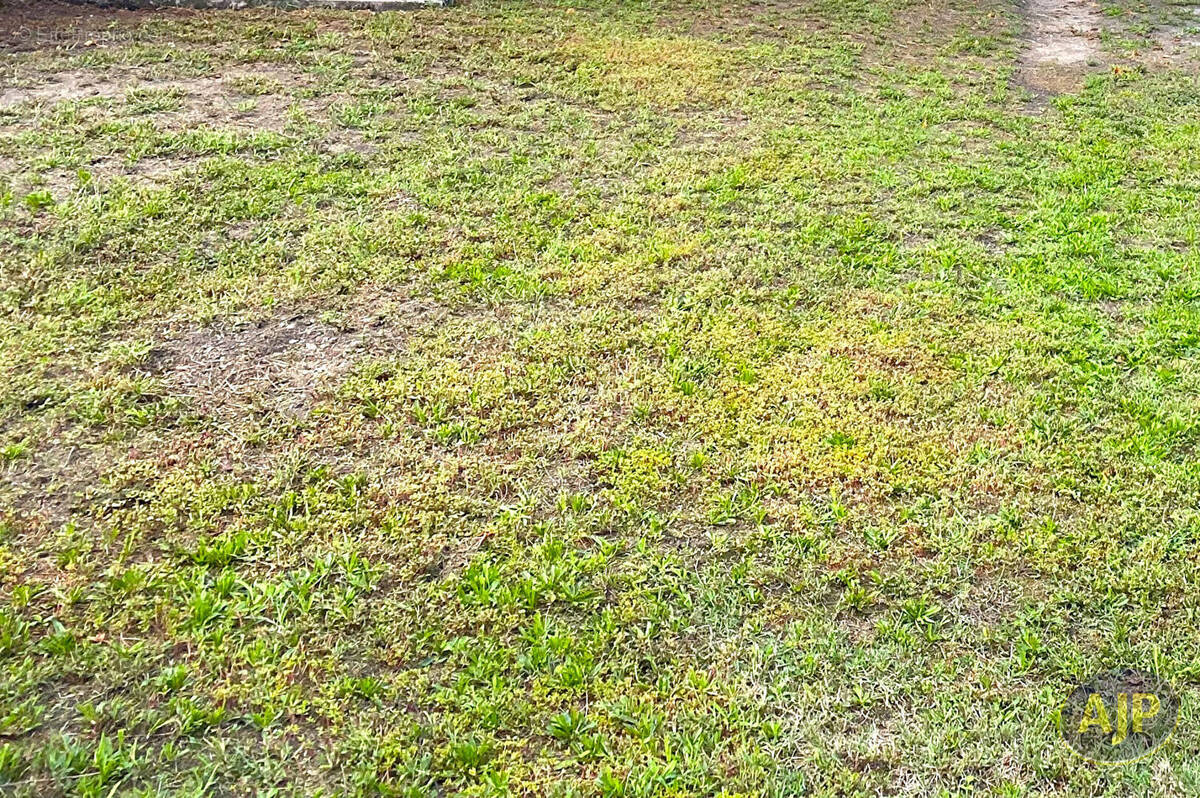 Terrain à CUBZAC-LES-PONTS