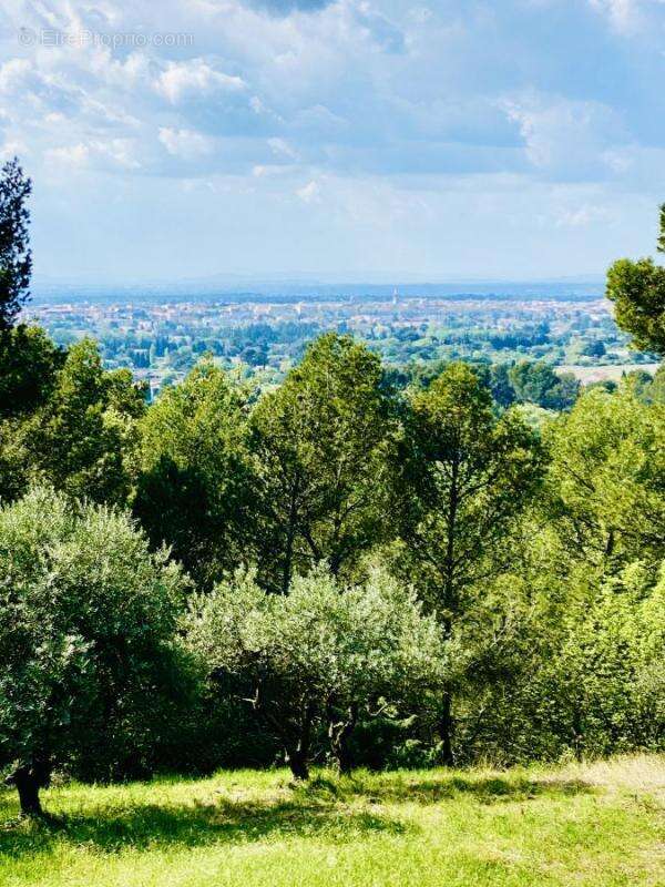 Maison à CARPENTRAS