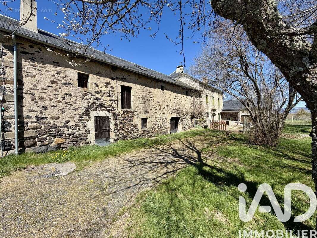 Maison 153 m² à Loubaresse  - photo 4