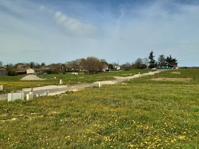 Terrain à DAIGNAC