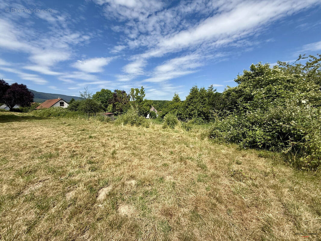 Terrain à NIEDERHASLACH