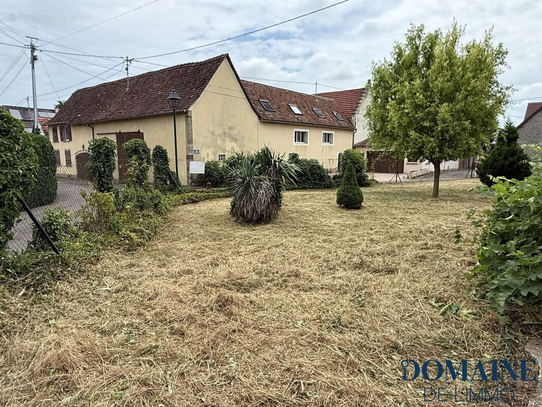 Terrain 504 m² à Duntzenheim  - photo 2