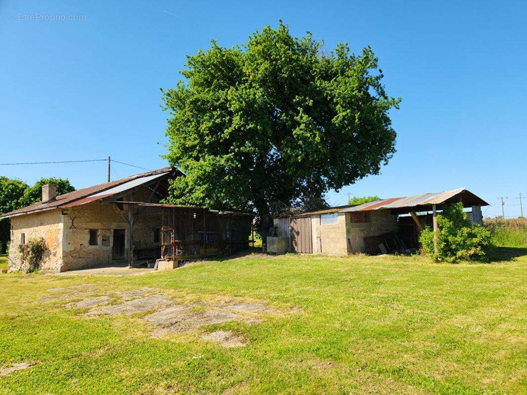 Maison à MONTFORT-EN-CHALOSSE