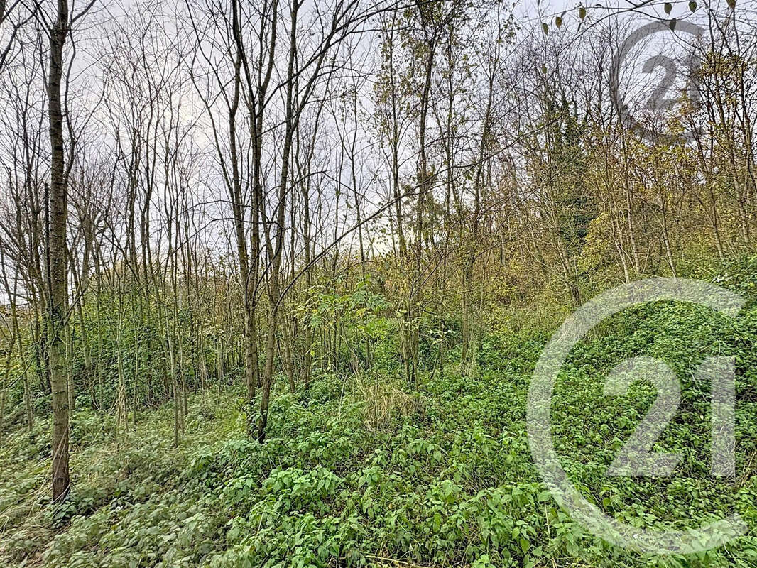 Terrain à CHALAUTRE-LA-PETITE