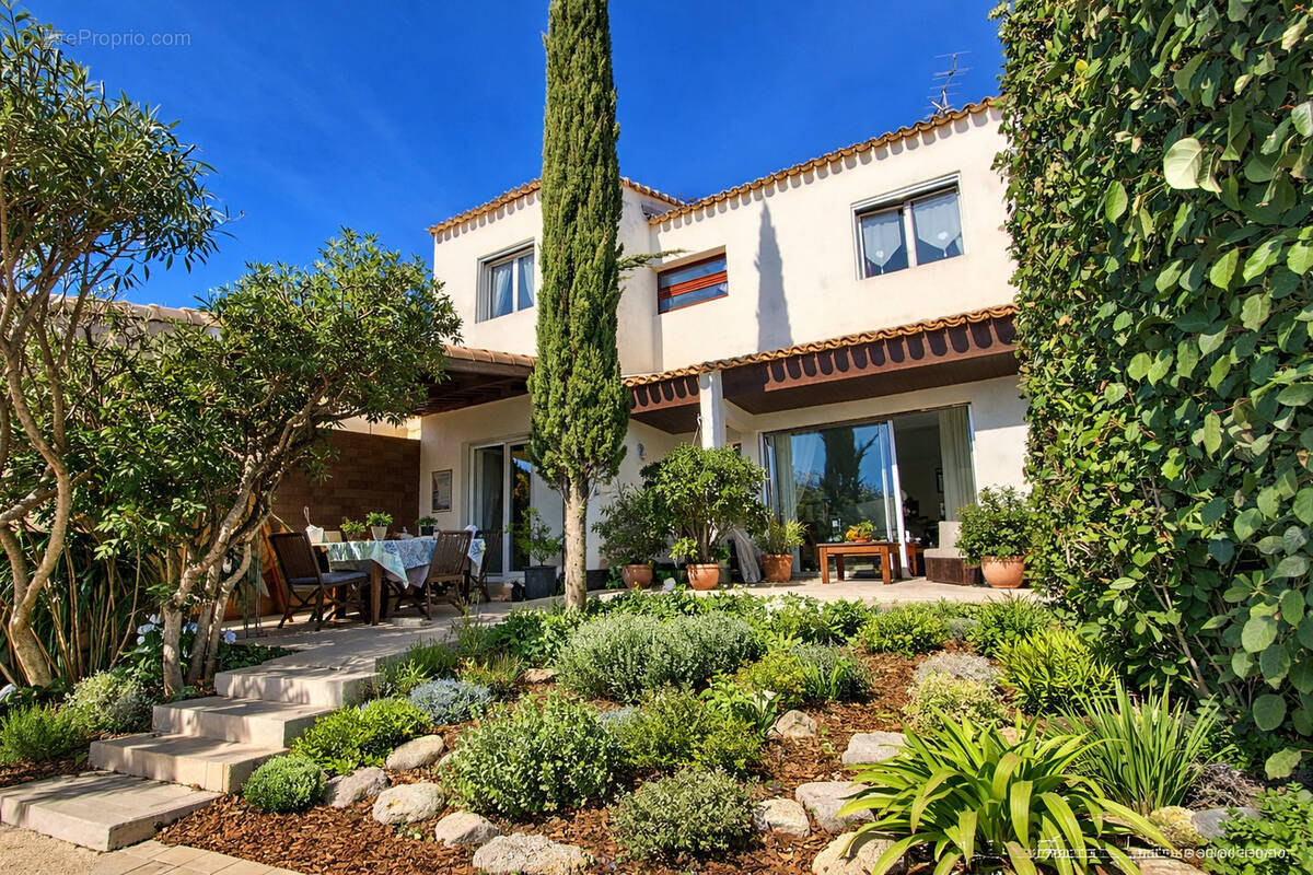 Maison à MONTPELLIER