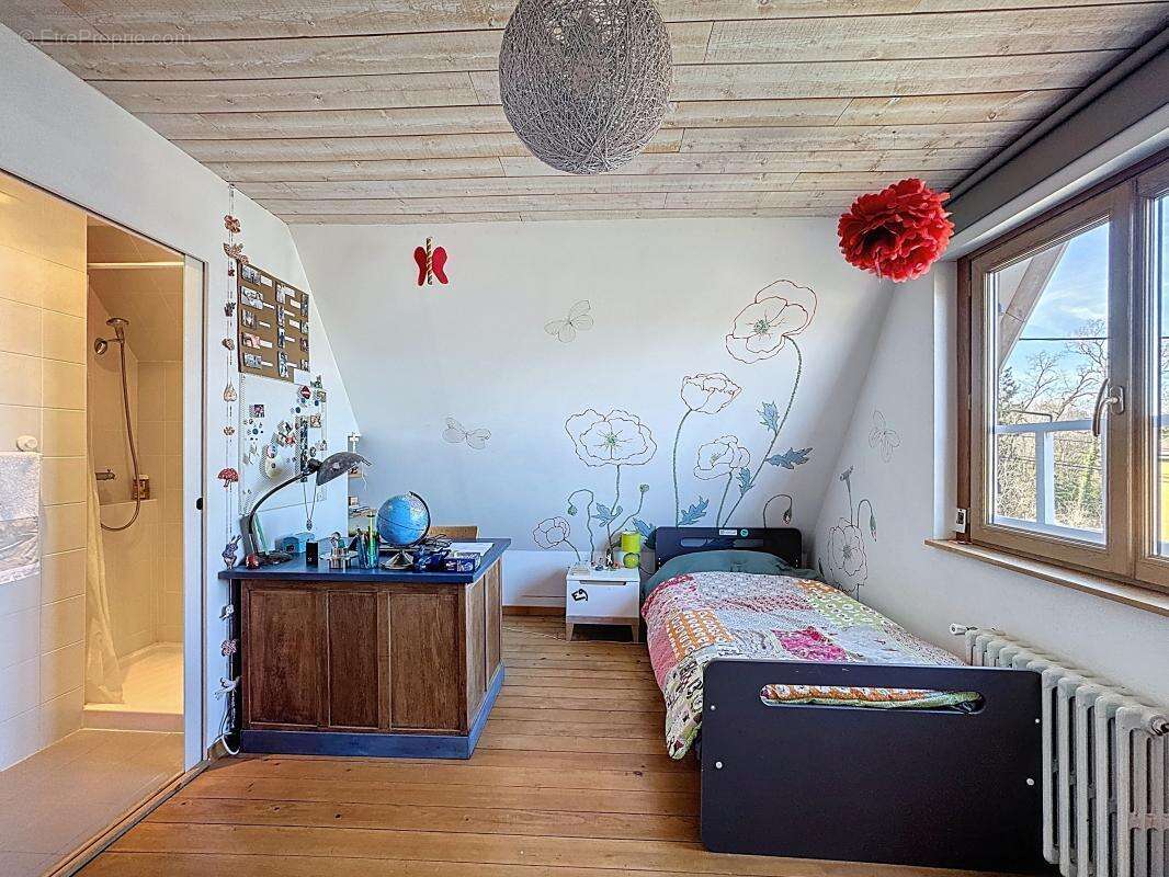 Maison à LA ROCHE-SUR-FORON