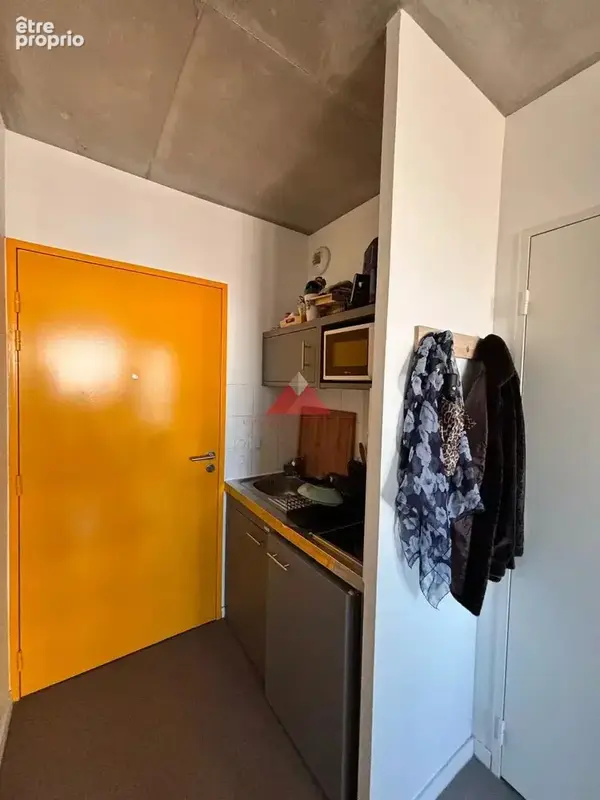 Studio étudiant 19,68 m² – Lyon Confluence – Investissement locatif - photo 2
