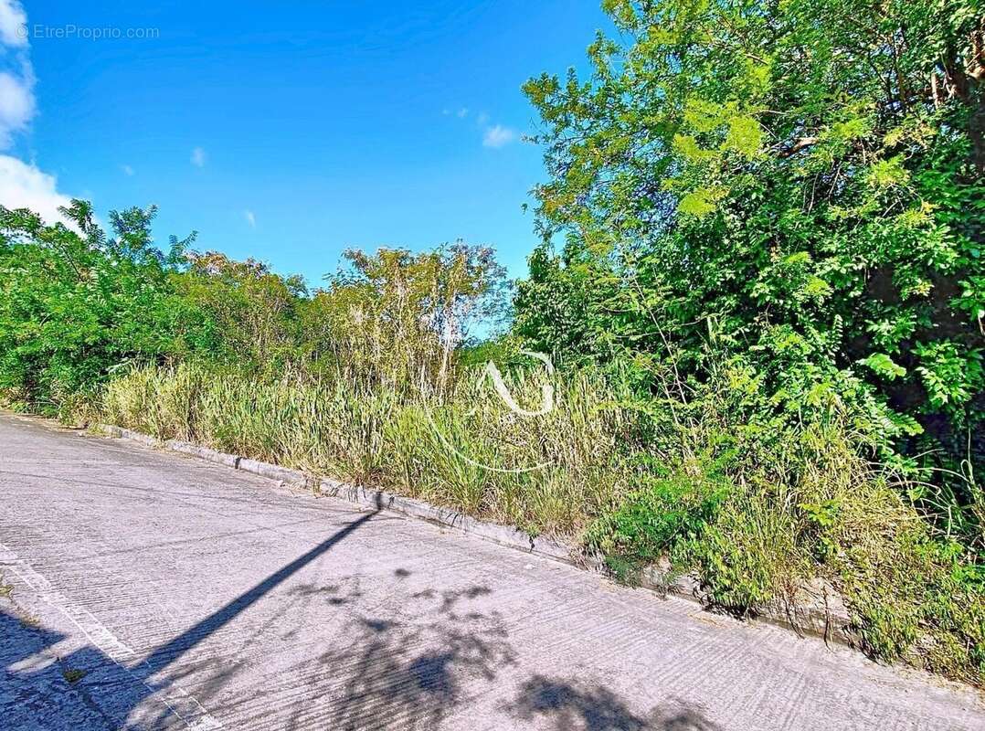 Photo 2 - Terrain à SAINT-PIERRE