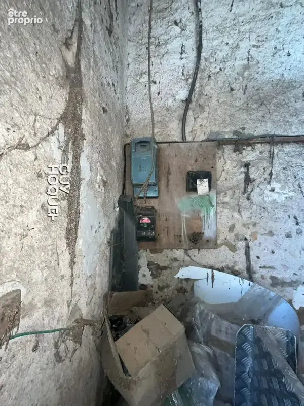 Entre chassenard et molinet - bel ensemble à fort potentiel avec terrain ! - photo 15