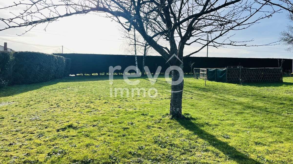 Terrain à CHAMPTOCEAUX