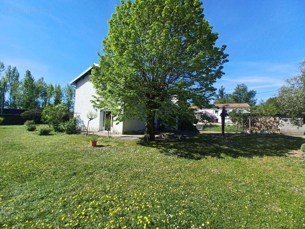 Photo 9 - Maison à ALBI