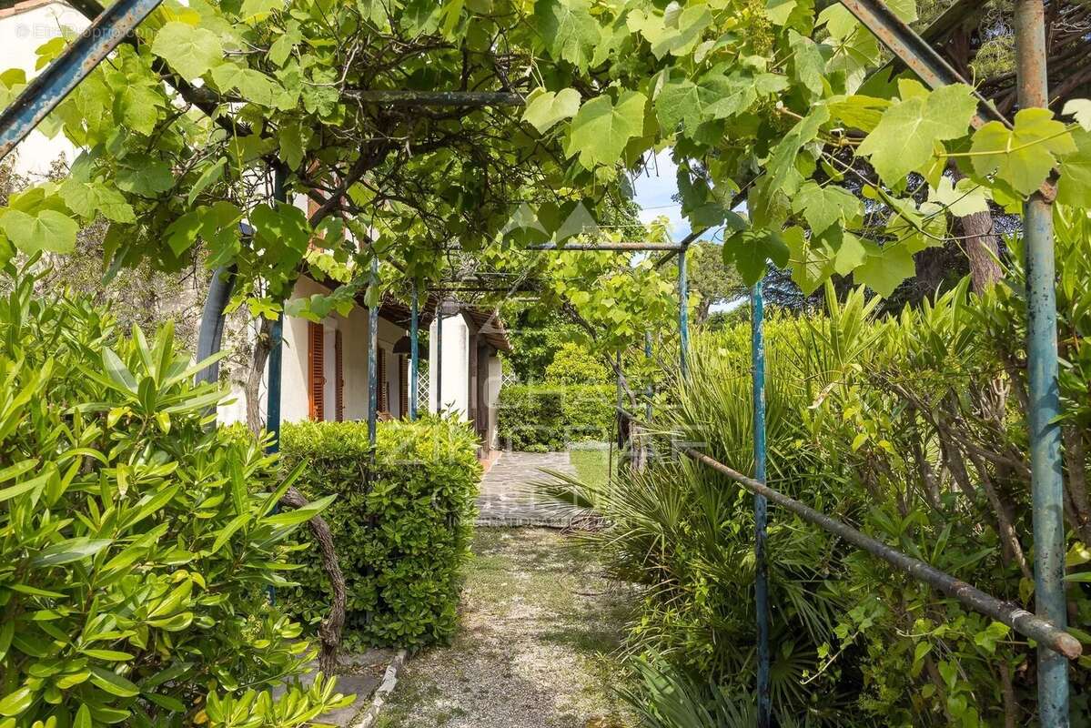 Maison à ANTIBES