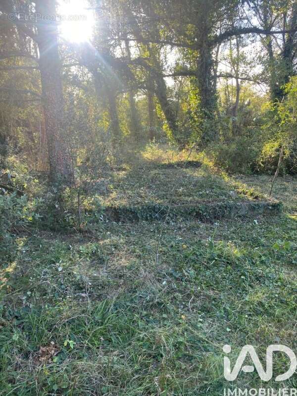 Photo 3 - Terrain à SAINT-JEAN-PLA-DE-CORTS