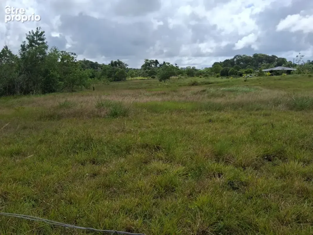 Terrain  3381 m2 -constructible - KOUROU - photo 1