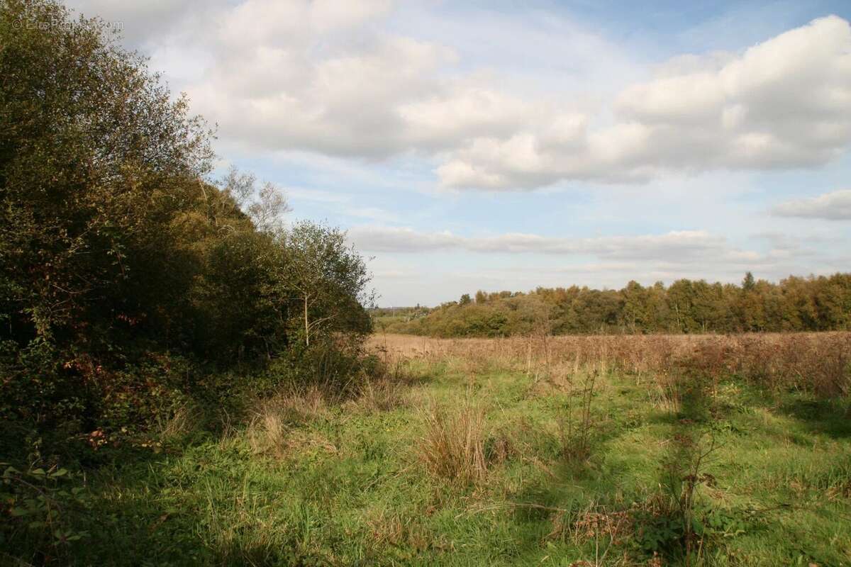 Terrain à GUEGON