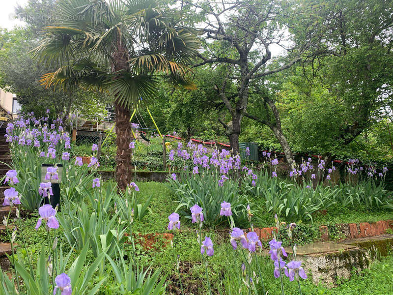 Maison à CALUIRE-ET-CUIRE