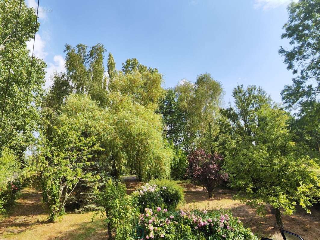 Sur plus de 3 ha de terrain, agréable maison avec dépendances - photo 15