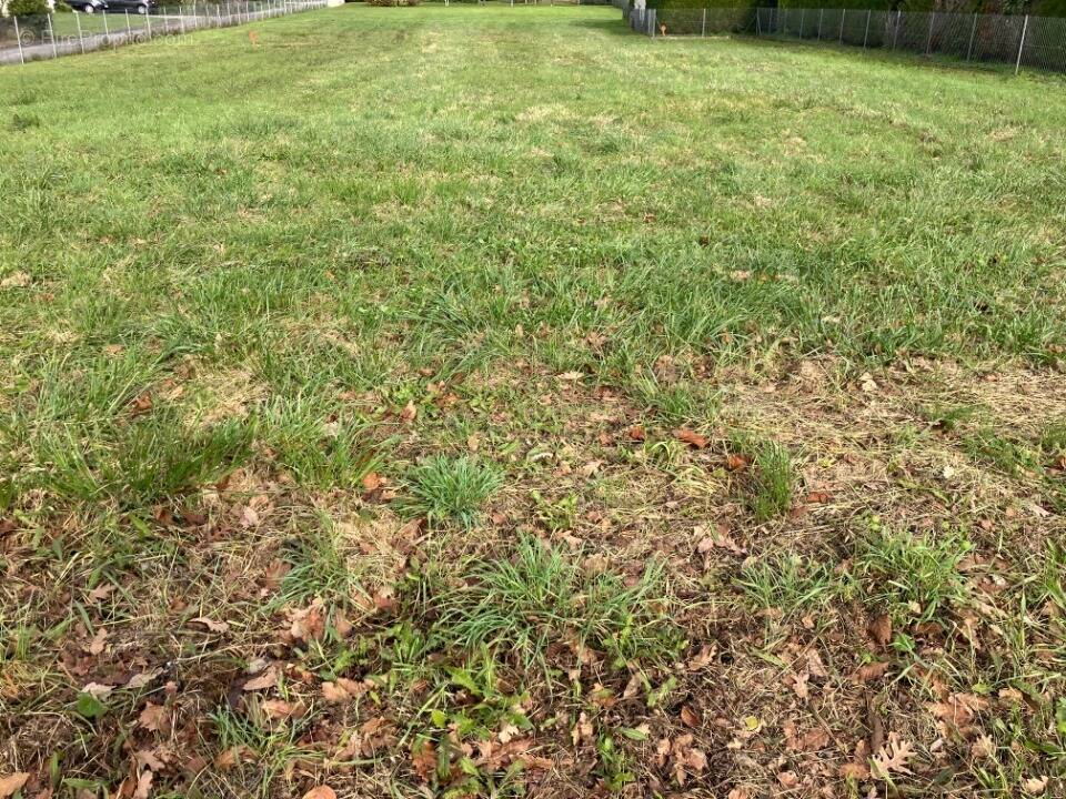 Terrain à SAINT-GEORGES-DES-COTEAUX