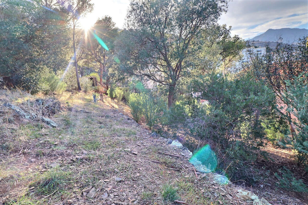 Terrain à CERBERE