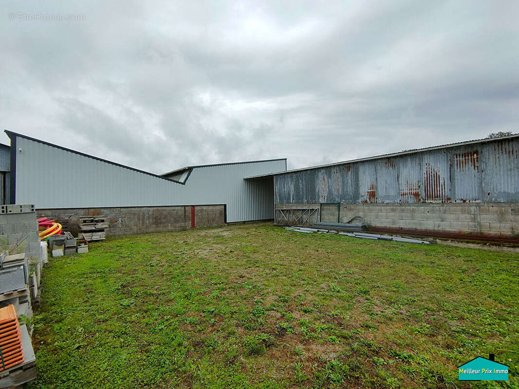 Commerce à SAINTE-PAZANNE