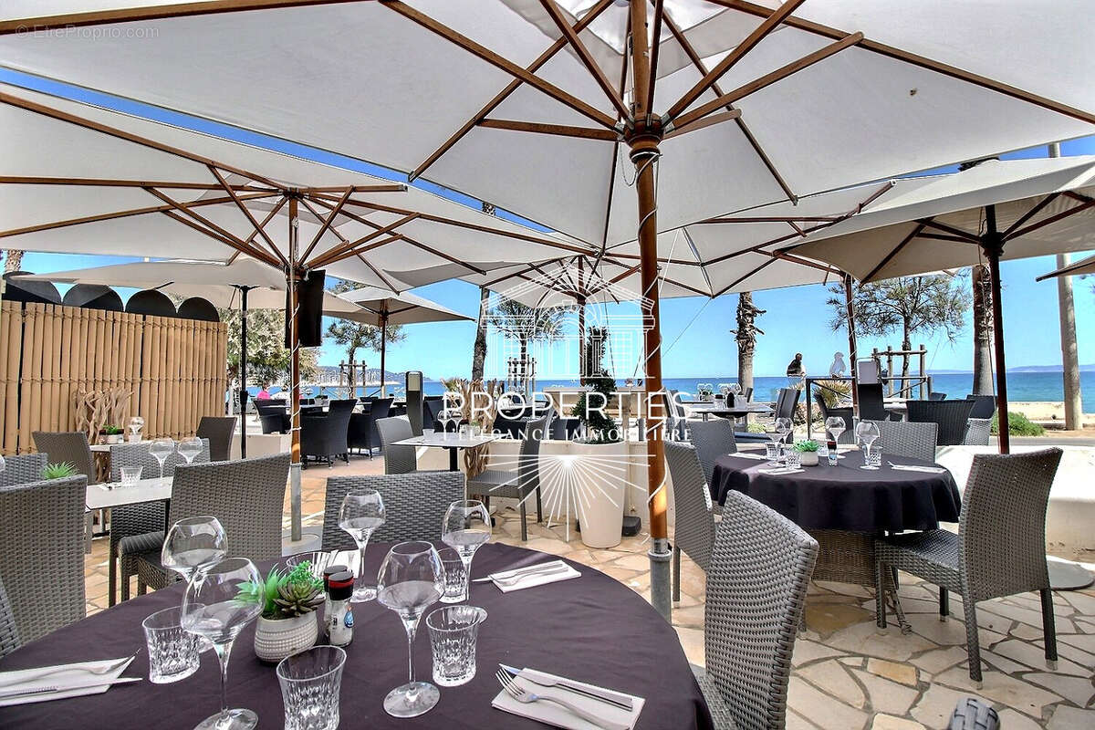 Commerce à LE LAVANDOU