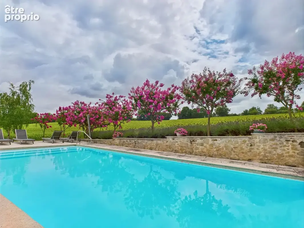 Élégant Manoir avec Chambres en Tour, Dépendance et Piscine - photo 13