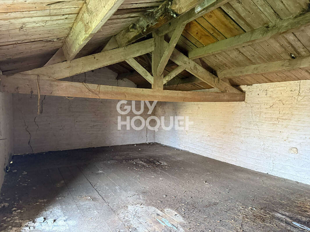 Terrain à SAINT-PIERRE-D'OLERON