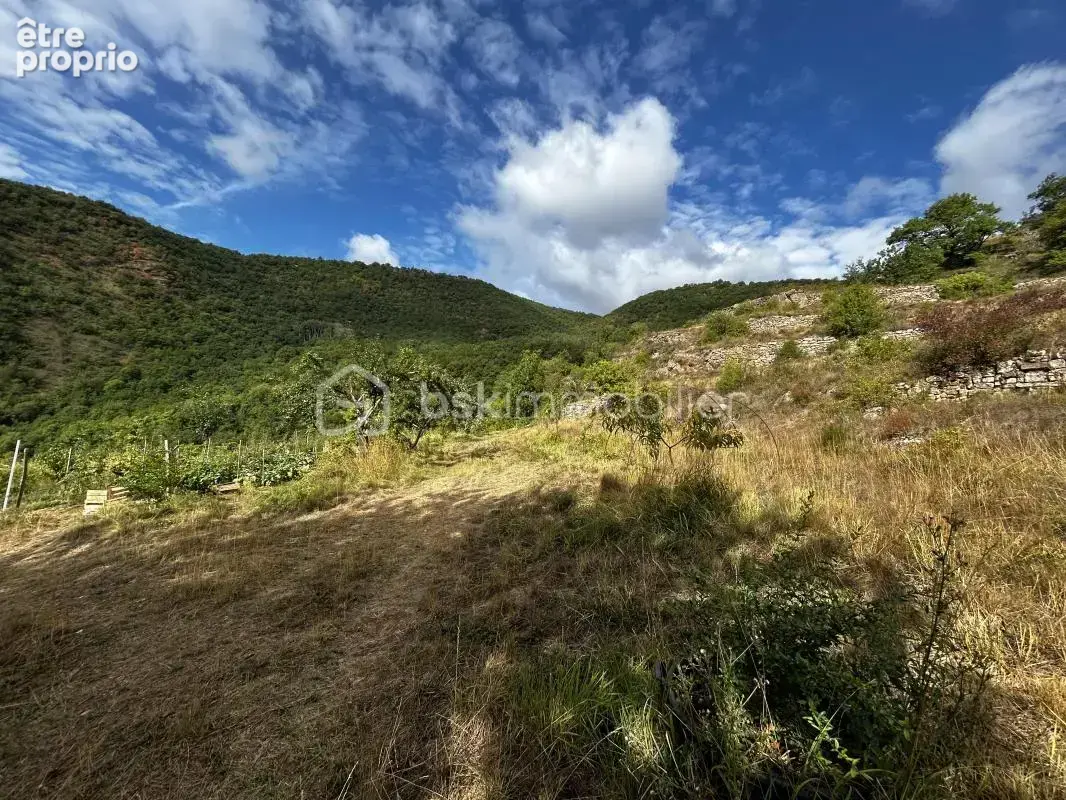 Maison en bois sur parcelle de 2,79 ha ! - photo 9