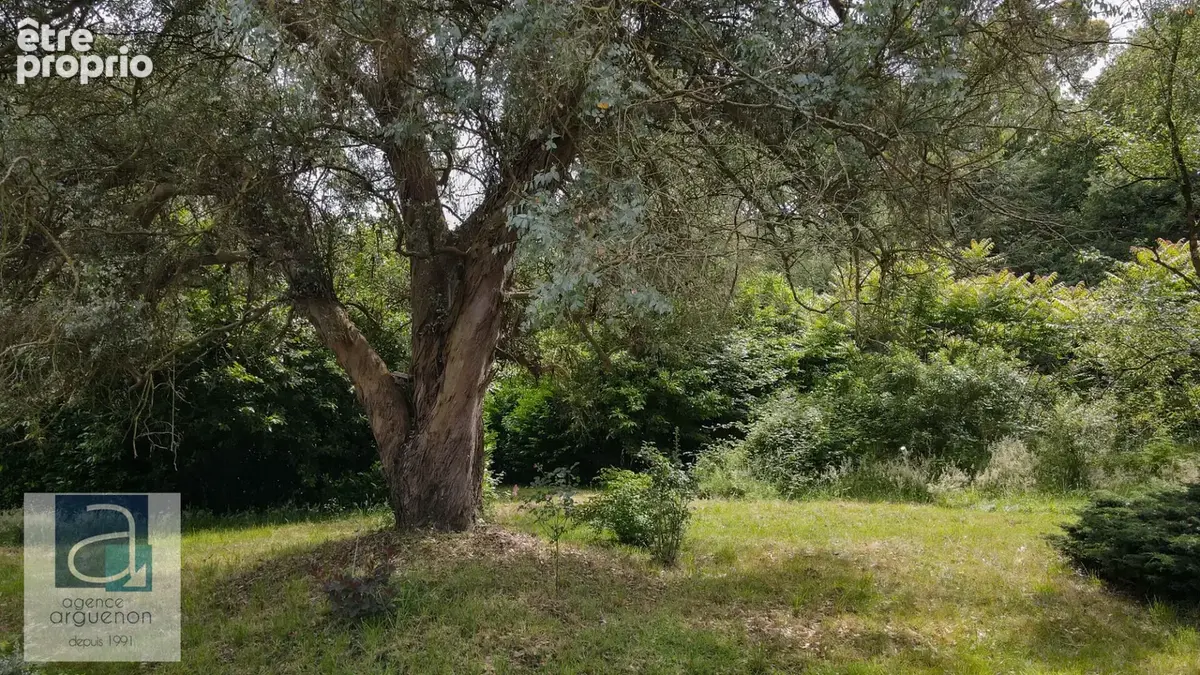 Bords de l'Arguenon - havre de paix avec 1.8 hectares - photo 12