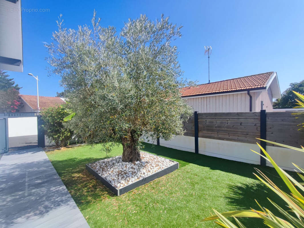 Maison à BISCARROSSE