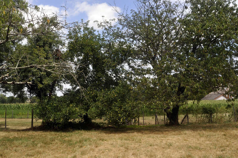 Maison à L&#039;ABERGEMENT-DE-CUISERY