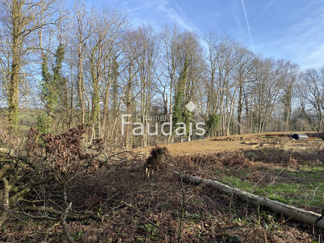 Terrain à AGNEAUX