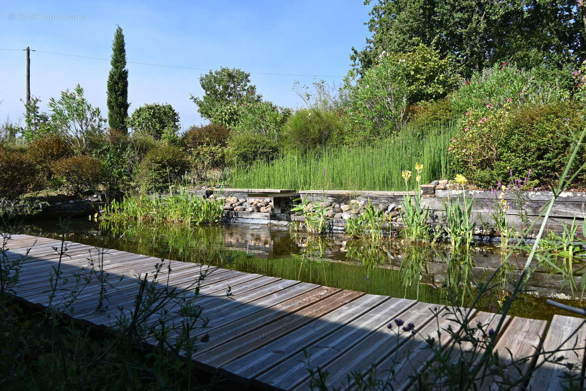 Maison bioclimatique à ossature bois avec gîte, piscine naturelle et autonomie énergétique - photo 10