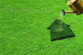 Terrain 1600M² - photo 1
