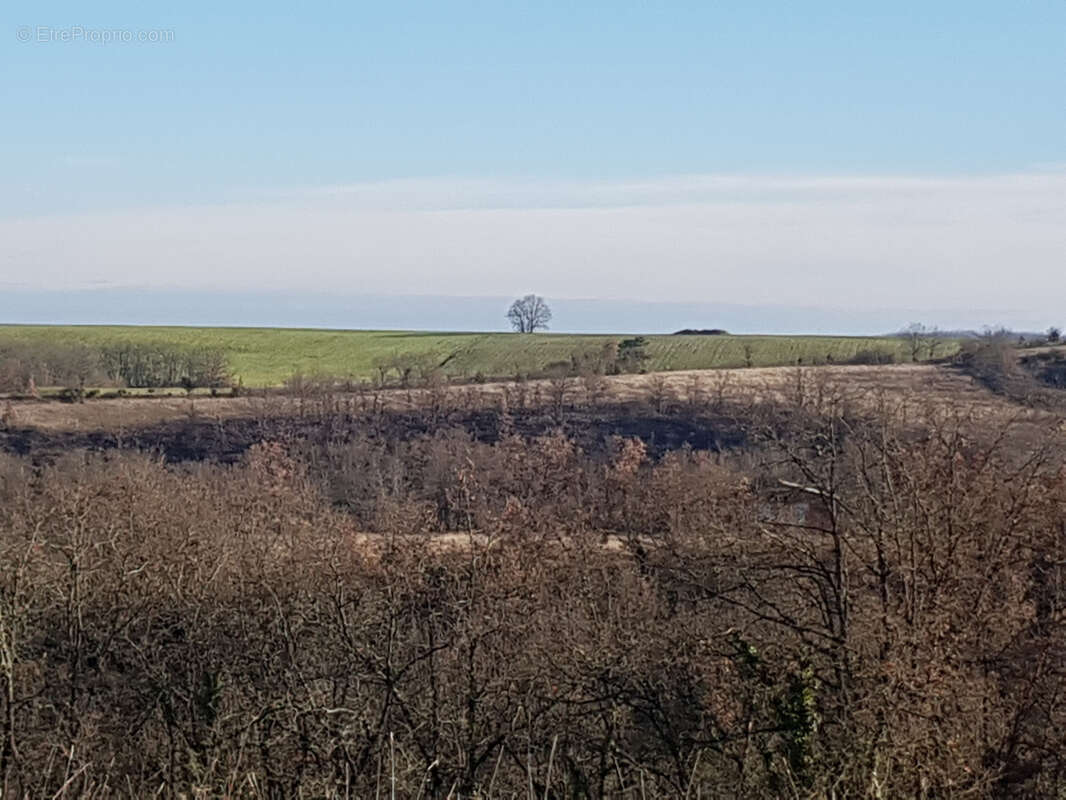 Maison à CAZES-MONDENARD