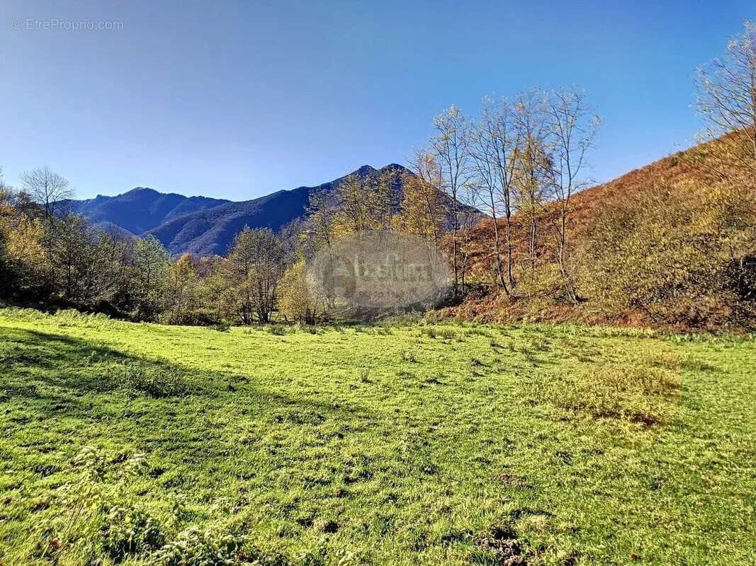 Granges ensoleillées, puits, vue - photo 10