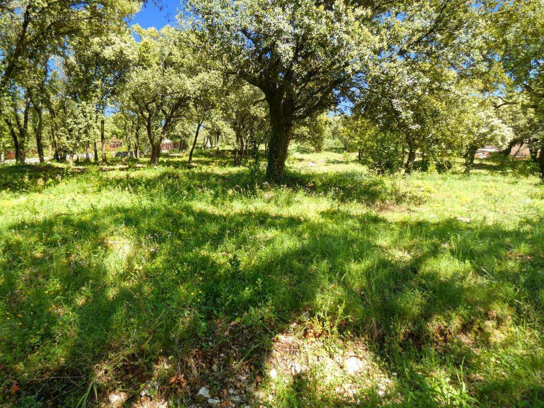 Terrain À Vendre vue panoramique 8 264m2 - photo 6