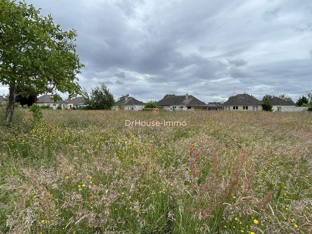 Terrain à LORRIS