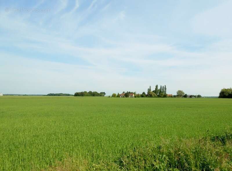 Terrain à LA SELLE-SUR-LE-BIED