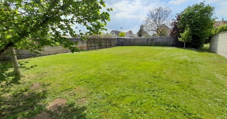 Terrain à CHICHEBOVILLE